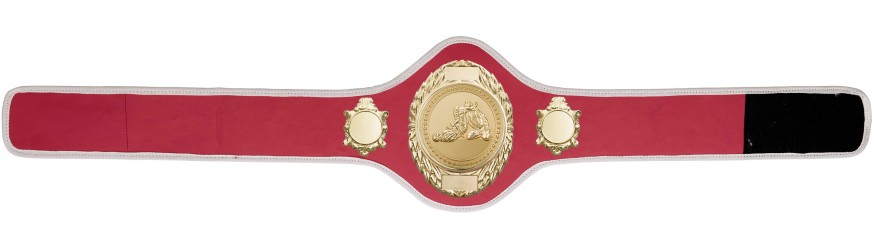 JIU JITSU CHAMPIONSHIP BELT-PRO286/G/JJG-10+ COLOURS